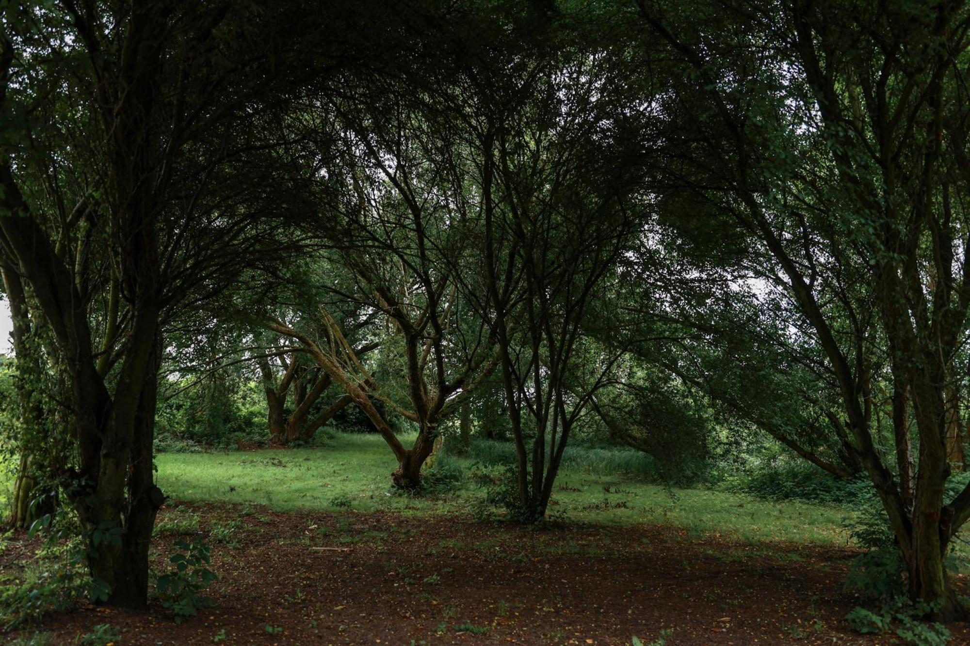 Jej I Jego - Eleganckie Domki Z Balia Na Wylacznosc Niewiesze Exterior foto